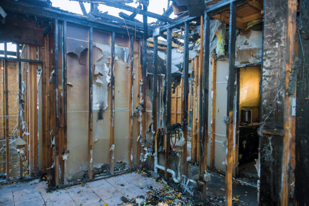 Professional Fire Damage Removal technician working in Milan, IN